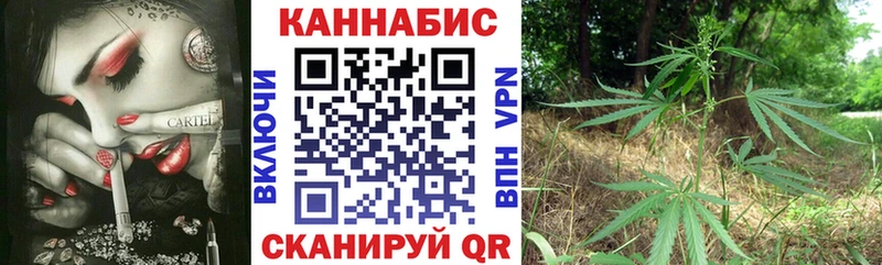 Шишки марихуана SATIVA & INDICA  где продают наркотики  mega онион  Курильск 